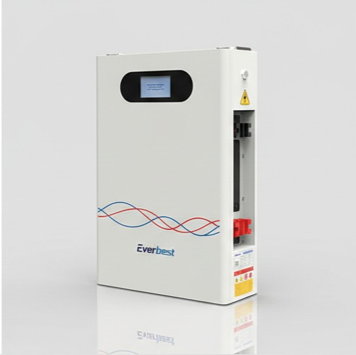 EVER BEST Lithium BATTERY 51.2V 100AH